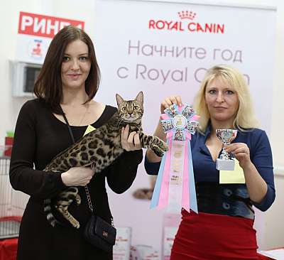 �������� ����� 11-12 ������ 2015, ������������ ���  ben-113-169A4574 copy.jpg